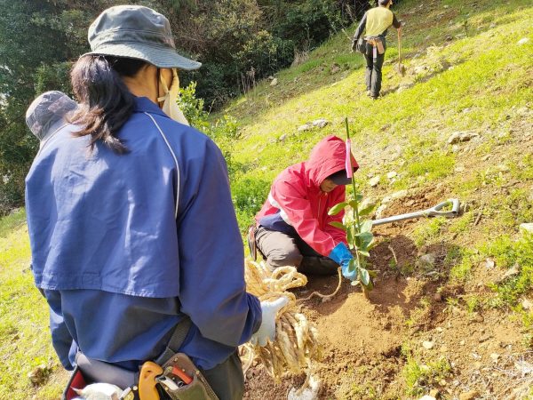【未来へつなぐ一本】みかん苗木に込めた農家の想い
