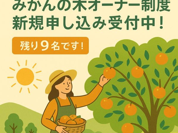 🌿【みかんの木オーナー制度・新規申込受付中！】🍊
