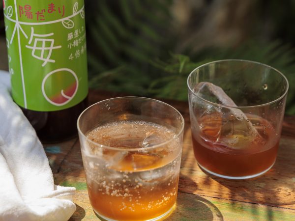今年もできました！陽だまりファームの梅商品で、夏を元気に乗り切ろう