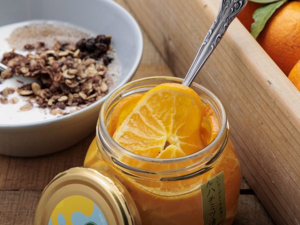 🍊東急不動産ホールディングス株主の皆さまへ