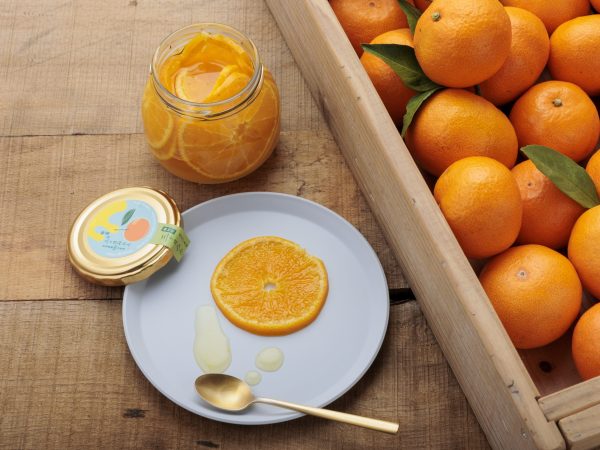 🍊「ふじのくに新商品セレクション2025」本審査へ