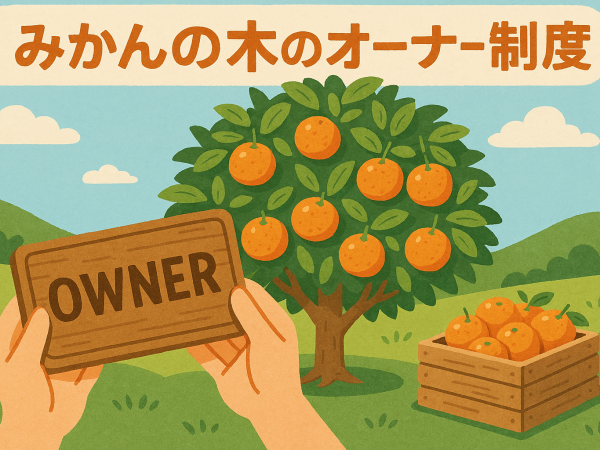 🍊みかんの木のオーナー様をお迎えする準備が進んでいます！