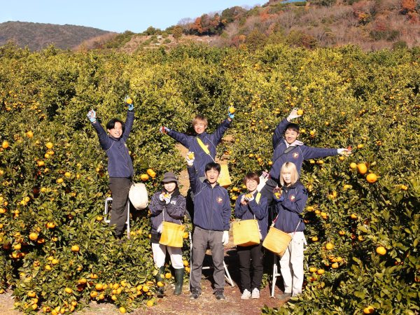 年内業務終了のご報告