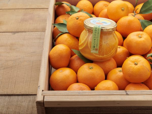 廃棄したくない。ただそれだけです。