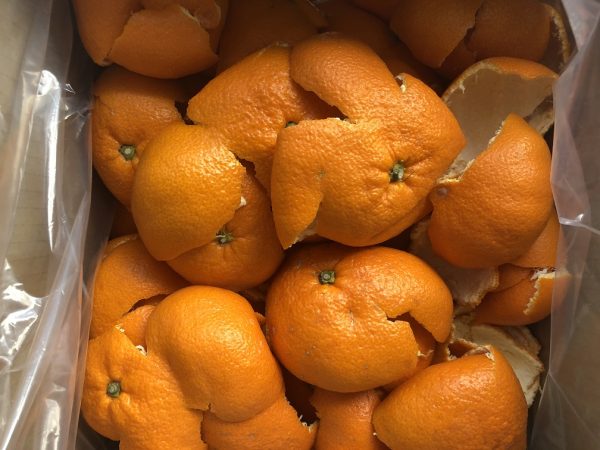 みかんの皮を、業務用として販売