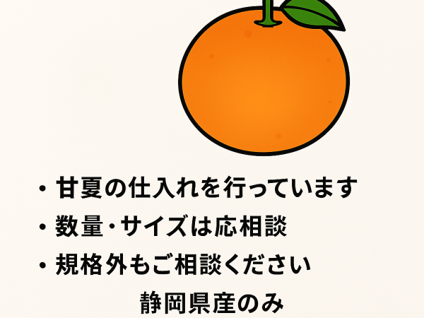 【静岡県産】甘夏を買取しています